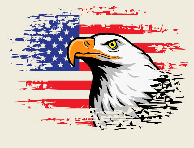 USA American Eagle T-Shirt
