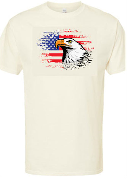 USA American Eagle T-Shirt