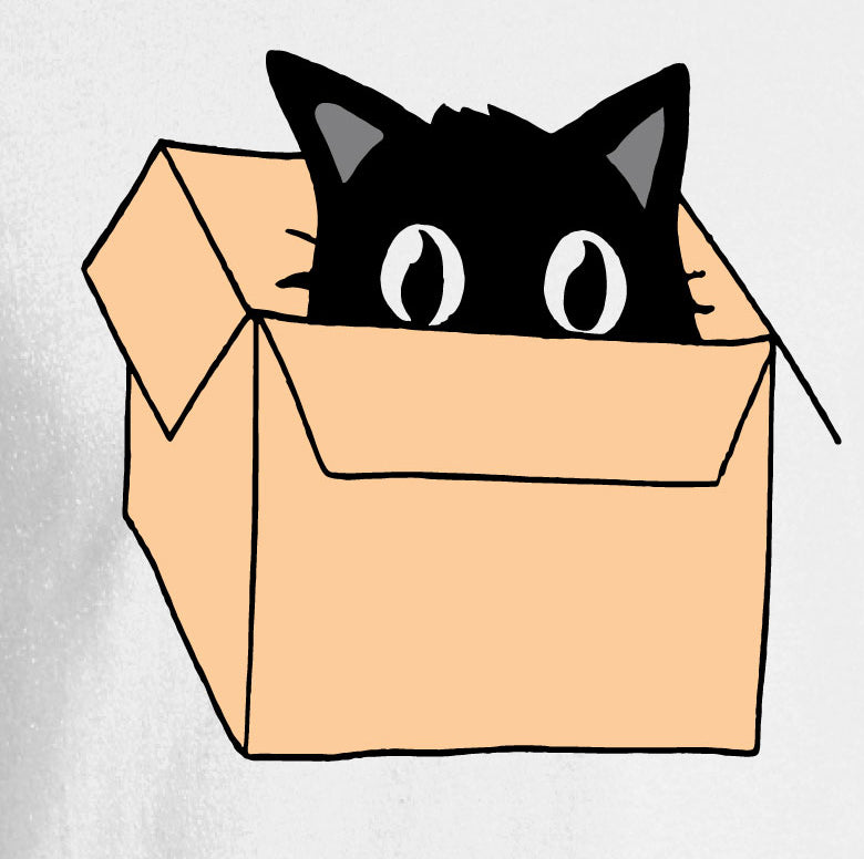 Cat in a Box T-Shirt
